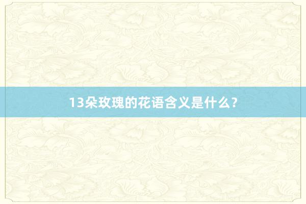 13朵玫瑰的花语含义是什么？